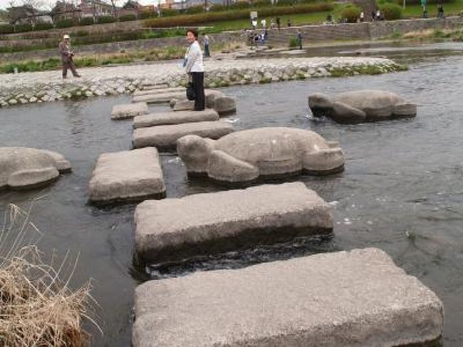 　賀茂川・鴨川には飛び石があって渡れるところが3箇所ある。北大路橋の上流、賀茂大橋の直ぐ上流、荒神橋の直ぐ上流である。御所から鴨川沿いに出て、荒神橋の直ぐ上流の飛び石を渡ってみた。ここの飛び石には亀石が多く配されている。<br />　鴨川には白鷺も餌を求めて舞い降り、堤防の桜も咲き出して、桜の木の下にビニールシートを敷いて桜見だ。のどかな春の休日の一こまだ。<br />（表紙写真は飛び石（荒神橋の直ぐ上流））