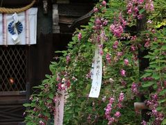 京都 初秋 2010 ～ 梨木神社の萩・常林寺の萩・下鴨神社