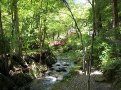 欲張りドライブ　ミイラがいる寺・横蔵寺から琵琶湖サラダパンまで