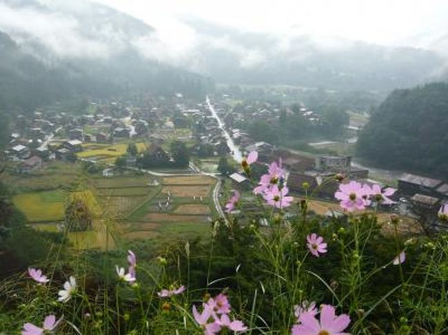 二日目は白川郷へ。