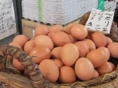 ラムネ温泉で癒され　湯布院で由布岳をみながら　あつあつの美味しい「から揚げ」と・・・