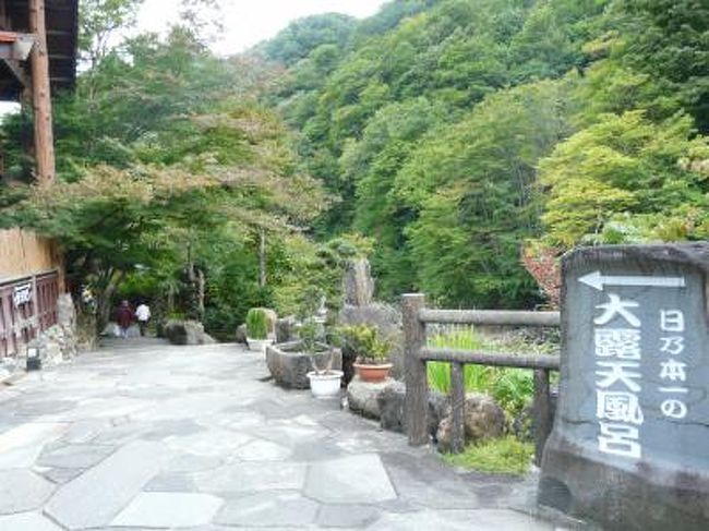 露天風呂の西の横綱の湯原温泉は時々出掛けて入浴を楽しんでいますが、東の露天風呂の横綱の宝川温泉は名古屋から遠く中々出掛ける事が出来ず、やっと今日出掛けて来ました。<br /><br />凄く大きい露天風呂でした。<br />お客さんも多く外人さんも何組か混浴を楽しんで居ました。<br />女性専用がひとつと、混浴風呂が三つでした。<br />名古屋から４６０?の距離でした。<br />わざわざ、風呂に入りたい為に出掛ける距離には遠さを感じました。<br />またいつか機会があれば出掛けたいと思いました。<br /><br /><br />宝川温泉 汪泉閣 オフィシャルホームページ<br />http://www.takaragawa.com<br /><br />西の横綱-湯原温泉「砂噴き湯:砂湯」 <br />http://www.yubara.com/onsen/higaeri.html 