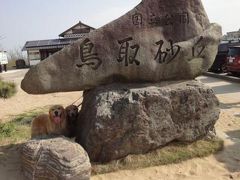 2010　GW犬との旅 ｐａｒｔ５　鳥取砂丘　