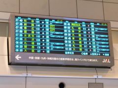 空港に着けば　そのまま荷物検査場へ