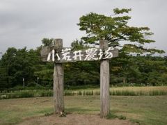 東北の旅　四日間　岩手県