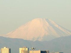 やはり正月は羽田空港から見える　これでしょう。