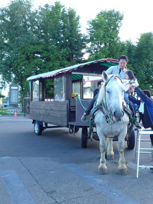 ２日目は帯広競馬場敷地内にオープンしたとかち村に行ってみました。ついでにと言ってはナンデスが、やっぱりばん馬サンたちの頑張りを応援しなくちゃ。夜は十勝川温泉の「かんぽの宿」に宿を変えゆっくりしました。夕景のスポットに車を走らせ暮れ行く十勝平野を眺めて、パチリ。パッチン・・・は蚊の攻撃に応戦する音。夫は刺されちゃったようです。翌日は鮭の遡上する千代田堰堤に行って、まだ時季が早かったので静かな雄大な川幅を実感。スイートピアガーデン柳月でお土産を買って帰途につきました。音更から高速に乗って、今度はちゃんと占冠までノンストップ。１００分くらいでつきました。それからは樹海ロードをクネクネ走り、夕張から高速にのり、途中ＳＡで休みを入れて、占冠から２時間くらいで我が家に到着。やっぱり運転疲れますわぁ。道東道の全線開通が待ち遠しいこざくらです。