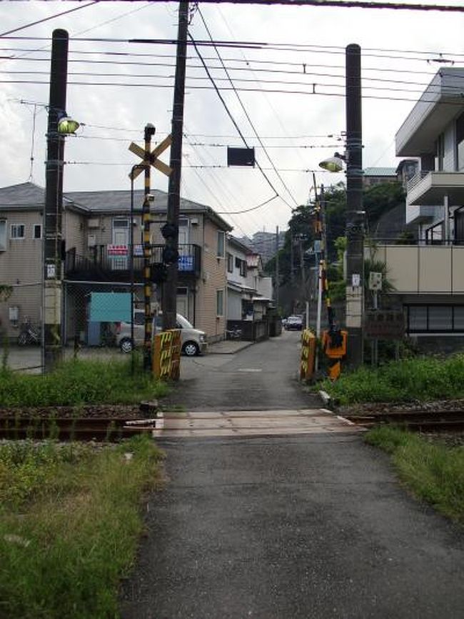 芥川龍之介（あくたがわ りゅうのすけ）（明治２５年（１８９２年）３月１日～昭和２年（１９２７年）７月２４日）は、大正初期から昭和初期にかけて活躍した日本の文豪である。<br /><br />芥川は関東大震災（大正１２年（１９２３年）９月１日）で当時横須賀に存在し震災で壊滅した為に横須賀での復興を断念し大正１４年（１９２５年）３月に京都府舞鶴に移転した海軍機関学校に於いて、大正５年（１９１６年）１２月から大正８年（１９２０年）３月まで英語科嘱託教官として赴任し、当時居住していた鎌倉から横須賀まで横須賀線に乗車して通勤していた。<br /><br />当時の海軍は、同じ夏目漱石（なつめ そうせき）（慶応３年（１８６７年）２月９日～大正５年（１９１６年）１２月９日）の門下生、内田百聞（うちだ ひゃっけん）（明治２２年（１８８９年）５月２９日～昭和４６年（１９７１年）４月２０日）など、作家を教官として丁重に扱い、陸軍を頭から軽蔑嫌悪していた東京出身の芥川なども海軍には好意的作品が観られるのも、此の傾向が下地に存在したからであると思われる。<br /><br />短編『蜜柑』は芥川が海軍機関学校での講義を終え帰宅時に利用した横須賀線車内で自身が２７才の時の体験を綴り、大正８年（１９１９年）４月に発表した短編作品である。<br /><br /><br /><br />　　　『蜜 柑』<br /><br />或曇つた冬の日暮である。私は横須賀發上り二等客車の隅に腰を下して、ぼんやり發車の笛を待つてゐた。とうに電燈もついた客車①の中には、珍らしく私の外に一人も乗客はゐなかつた。外を覗くと、うす暗いプラツトフオオムにも、今日は珍しく見送りの人影さへ跡を絶つて、唯、檻に入れられた小犬が一匹、時々悲しさうに、吠え立ててゐた。これらはその時の私の心もちと、不思議な位似つかはしい景色だつた。私の頭の中には云ひやうのない披露と倦怠とが、まるで雪曇りの空のやうなどんよりとした影を落としてゐた。私は外套のポツケツトへぢつと両手をつつこんだ儘、そこにはいつてゐる夕刊を出して見ようと云う元気さへ起こらなかつた。<br />が、やがて發車の笛が鳴つた。私はかすかな心の寛ぎを感じながら、後の窓枠へ頭をもたせて、眼の前の停車場がずるずると後ずさりを始めるのを待つともなく待ちかまへてゐた。所がそれよりも先にけたたましい日和下駄の音が、改札口の方から聞え出したと思ふと、間もなく車掌の何か云い罵る声と共に、私が乗つてゐる二等室の戸ががらりと開いて、十三四の小娘が一人、慌しく中にはいつて来た、と同時に一つづしり揺れて、徐に汽車は動き出した。一本づつ眼をくぎつて行くプラツトフオオムの柱、置き忘れたやうな運水車、それから車内の誰かに祝儀の礼を云つてゐる赤帽　- さう云うすべては、窓へ吹きつける煤煙の中に、未練がましく後へ倒れて行つた。私は漸くほつとした心もちになつて、巻煙草に火をつけてながら、始めて懶い睚をあえて、前の席に腰を下してゐた小娘の顔を一瞥した。<br />それは油気のない髪をひつつめの銀杏返しに結つ、横なでの痕のある皸だらけの両頬を気持の悪い程火照らせた、如何にも田舎者らしい娘だつた。しかも垢じみた萌黄色の毛糸の襟巻がだらりと垂れ下つた膝の上には、大きな風呂敷包みがあつた。その又包みを抱いた霜焼けの手の中には。三等の赤切符が大事さうにしつかり握られてゐた。私はこの小娘の下品な顔だちを好まなかつた。それから彼女の服装が不潔なのもやはり不快だつた。最後に二等と三等との区別さへも弁へない愚鈍な心が腹立たしかつた。だから巻煙草に火をつけた私は、一つにはこの小娘の存在を忘れたいと云う心もちもあつて、今度はポツケツトの夕刊を漫然と膝の上へとひろげて見た。すると其時夕刊の紙面に落ちてゐた外光が、突然電燈の光に変つて、刷の悪い何欄かの活字が意外な位鮮に私の眼の前に浮かんで来た。云ふまでもなく汽車は今、横須賀線に多い隧道の最初のそれへはいつたのである。<br />しかしその電燈の光に照らされ夕刊の紙面を見渡しても、やはり私の憂鬱を慰むべく、世間は余りに平凡な出来事ばかりで持ち切つてゐた。講和問題、新婦新郎、助K職事件、死亡広告　-　私は隧道へはいつた瞬間、汽車の走つてゐる方向が逆になつたやうな錯覚を感じながら、それらの索漠とした記事から記事へ殆機械的に眼を通した。が、その間も勿論あの小娘が、恰も卑俗な現実を人間にしたやうな面持ちで、私の前に坐つてゐる事を絶えず意識せずにはゐられなかつた。この隧道の中の汽車と、この田舎者の小娘と、さうして又この平凡な記事に埋つてゐる夕刊と、　-　これが、象徴でなくて何であらう。不可解な、下等な、退屈な人生の象徴でなくて何であらう。私は一切がくだらなくなつて、読みかけた夕刊を抛り出すと、又窓枠に頭を靠せながら、死んだやうに眼をつぶつて、うつらうつらし始めた。<br />それから幾分か過ぎた後であつた。ふと何かに脅されたやうな心もちがして、思はずあたりを見まはすと、何時の間にか例の小娘が、向う側から席を私の隣へ移して、頻に窓を開けようとしてゐる。が、重い硝子戸は中々思ふやうにあがらないらしい。あの罅だらけの頬は愈赤くなつて、時々鼻洟をすすりこむ音が、小さな息の切れる声と一しよに、せはしなく耳にはいつて来る。これは勿論私にも、幾分ながら同情を惹くに足るものに相違なかつた。しかし汽車が今将に隧道の口へとさしかからうとしてゐる事は、暮色の中に枯草ばかり明い両側の山腹が、間近く窓際に追つて来たのでも、すぐに合点の行く事であつた。にも関らずこの小娘は、わざわざしめてゐる窓の戸を下さうとする、　-　その理由が私には呑みこめなかつた。いや、それが私には、単にこの小娘の気まぐれだとしか考へられなかつた。だから私は腹の底に依然として険しい感情を蓄へながら、あの霜焼けの手が硝子戸を擡げやうとして悪戦苦闘する容子を、まるでそれが永久に成功しない事でも祈るやうな冷酷な眼で眺めてゐた。すると間もなく凄まじい音をはためかせて、汽車が隧道へとなだれこむと同時に、小娘の開けやうとした硝子戸は、たうたうばたりと下へ落ちた。そうしてその四角な穴の中から煤を溶したやうなどす黒い空気が、俄に息苦しい煙になつて、濛々と車内に漲り出した。元来咽喉を害してゐた私は、手巾を顔を当てる暇さへなく、この煙を満面に浴びせられたおかげで、殆息もつけない程咳きこまなければならなかつた。が、小娘は私に頓着する気色も見えず、窓から外へ首をのばして、闇を吹く風に銀杏返しの丞揩ﾌ毛を戦がせながら、ぢつと汽車の進む方向を見やつてゐる。その姿を煤煙と電燈の光との中に眺めた時、もう窓の外が見る見る明るくなつて、そこから土の匂や枯草の匂や水の匂が冷かに流れこんで来なかつたなら、漸咳きやんだ私は、この見知らない小娘を頭ごなしに叱りつけてでも、又元の通り窓の戸をしめさせたのに相違なかつたのである。<br />しかし汽車はその時分には、もう安々と隧道を辷りぬけて、枯草の山と山との間に挟まれた、或貧しい町はづれの踏切りに通りかかつてゐた。踏切りの近くには、いづれも見すぼらしい藁屋根や瓦屋根がごみごみと狭苦しく建てこんで、踏切り番が振るのであらう、唯一旒のうす白い旗が償?ｰに暮色を揺すつてゐた。やつと隧道を出たと思ふ　-　その時その蕭索とした踏切りの柵の向うに、私は頬の赤い三人の男の子が、目白押しに並んで立つてゐるのを見た。彼等は皆、この曇天に押しすくめられたかと思ふ程、揃つて背が低かつた。さうして又この町はづれの陰惨たる風物と同じやうな色の着物を着てゐた。それが、汽車の通るのを仰ぎ見ながら、一斉に手を挙げが早いか、いたいけな喉を高く反らせて、何とも意味の分らない喊声を一生懸命に迸らせた。するとその瞬間である。窓から半身を乗り出してゐた例の娘が、あの霜焼けの手をつとのばして、勢よく左右に振つたと思ふと、忽ち心を躍らすばかり暖な日の色に染まつてゐる蜜柑が凡そ五つ六つ、汽車を見送つた子供たちの上へばらばらと空から降つて来た。私は思はず息を?んだ。さうして刹那に一切を了解した。小娘は、恐らくはこれから奉公先へ赴かうとしてゐる小娘は、その懐に蔵してゐた幾頼の蜜柑を窓から投げて、わざわざ踏切りまで見送りに来た弟たちの労に報いたのである。<br />暮色を帯びた町はづれの踏切りと、小鳥のやうに声を挙げた三人の子供たちと、さうしてその上に乱落する鮮な蜜柑の色と　-　すべては汽車の窓の外に、瞬く暇もなく通り過ぎた。が、私の心の上には、切ない程はつきりと、この光景が焼きつけられた。そうしてそこから、或得体の知れない朗な心もちが湧き上つて来るのを意識した。私は昂然と頭を挙げて、まるで別人を見るやうにあの小娘を注視した。小娘は何時かもう私の前に返つて、相変変皸だらけの頬を萌黄色の毛糸の襟巻に埋めながら、大きな風呂敷包みを抱へた手に、しつかりと三等切符を握つてゐる。・・・・・・・・・・<br />私はこの時始めて、云いやうのない疲労と倦怠とを、さうして又不可解な、下等な、退屈な人生を僅に忘れる事が出来たのである。<br /><br /><br />表紙の写真は『蜜柑』に登場する主人公が弟たちにミカンを投げたと推定される踏切