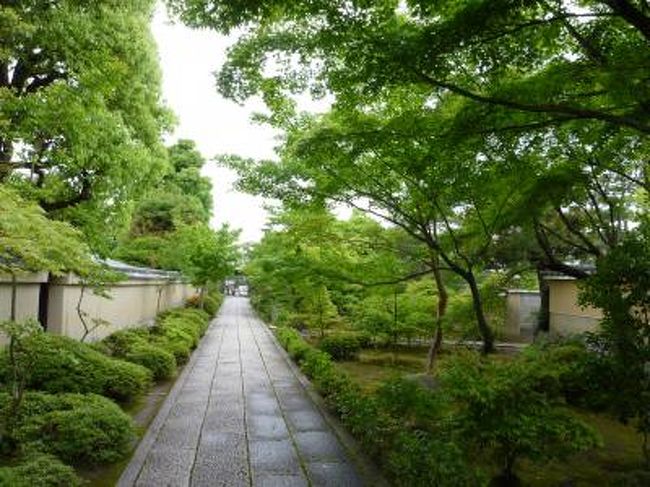 朝から小雨が降る中、禅宗の名庭が揃う大徳寺へ。<br /><br />一休和尚、沢庵和尚の寺で、京都でも有数の規模らしく、２０を超える塔頭（たっちゅう）が立ち並んでいて、常時公開されているのは、４寺院。<br /><br />今日は、その内のひとつ大仙院で庭園鑑賞の後、大慈院泉仙で精進料理に舌鼓の予定＾＾<br /><br />さ〜〜〜てくてく散歩と参りましょう