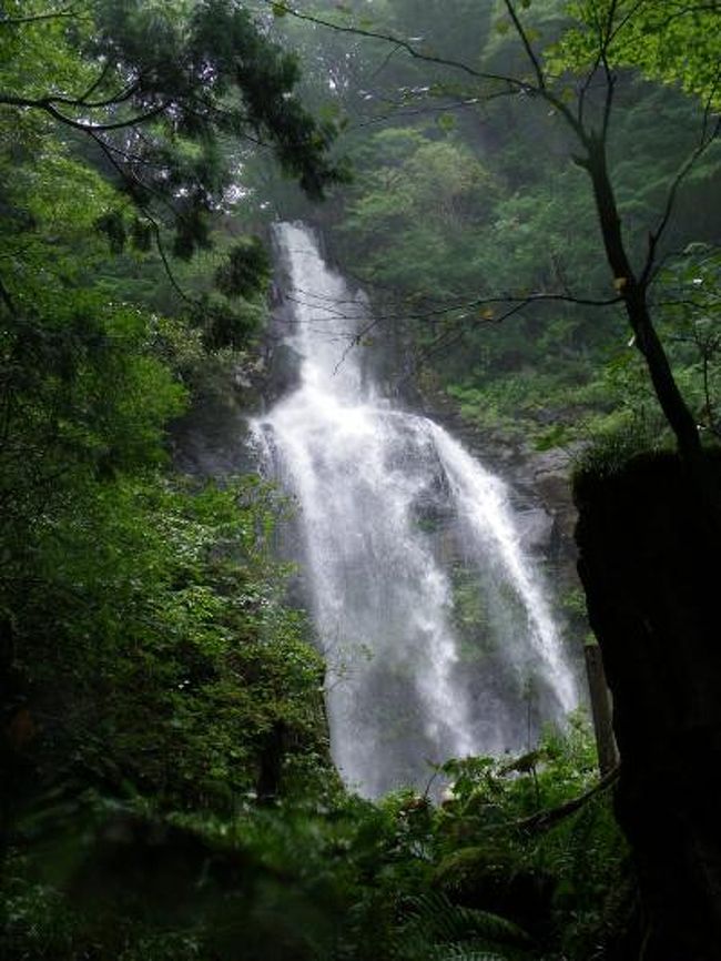 「乙字ヶ滝」では若干消化不良気味だった私たちが次に向かったのは、郡山市の北のはずれにある日本の滝百選『銚子ヶ滝』です。<br />あいにくの雨で、レンズに水滴が付着して写真が見辛いかもしれませんが、ご容赦下さいネ。<br /><br />JOECOOLはこの『銚子ヶ滝』で、日本の滝百選訪問数が70ヶ所に達しました！<br /><br /><br />「福島県＆山形県の滝めぐり」ダイジェスト版はこちら→http://4travel.jp/traveler/joecool/album/10502085/