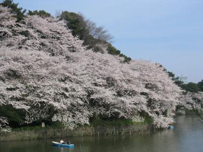 ２００３年の桜の花見は、まず千鳥ヶ淵へ行ってきました。<br />以前から花見に行ってみたいと思っていた場所で、念願が叶った時でした。<br />この日は天気が良く、花見日和でした。