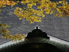 「成田山新勝寺散歩」～今年は紅葉きれいでしょうか