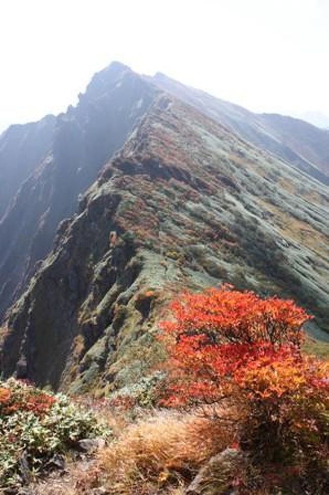 2日目。蓬ヒュッテを出発し、谷川岳へ。朝は曇っていたのですがだんだん晴れ、茂倉岳につくころは360度の大パノラマに感動です。