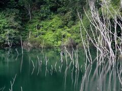 2 シンガポール最後のカンポンと手付かずの自然が残る島PulauUbin土日暇してる運動不足のあなたにおすすめ◎活けシーフードも安くて美味い