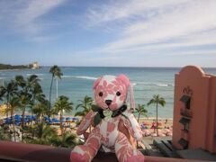 ★７回目のハワイ旅行だけど・・・まだまだ極めきれない２０１０・１日目★