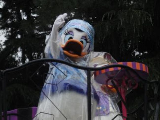 雨のディズニーランド編 東京ディズニーリゾート 千葉県 の旅行記 ブログ By 円蔵さん フォートラベル