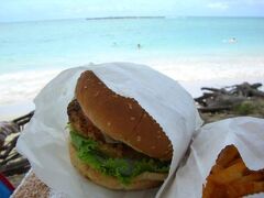 ★７回目のハワイ旅行だけど・・・まだまだ極めきれない２０１０・２日目★