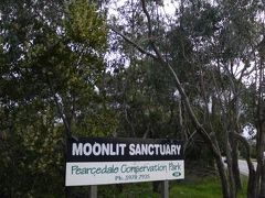 夜のナイトツアーが楽しい、ムーンリット・サンクチュアリー(Moonlit Sanctuary)