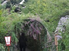 「　萩のトンネル　向島百花園　」