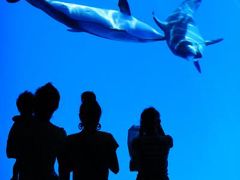 子供と名古屋港水族館