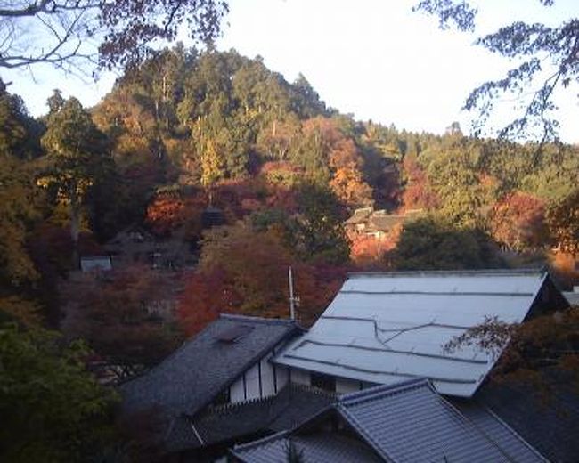 奈良県桜井市にある談山神社に行って来ました。紅葉が見頃です。藤原鎌足と中大兄皇子が、大化元年(645年)5月に大化の改新の談合をこの多武峰(とうのみね)にて行い、後に「談い山(かたらいやま)」「談所ヶ森」と呼んだことによるとされるらしいです。
