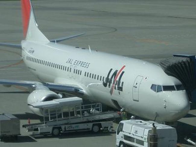ボーイング７３７ ８００に乗りました 快適な飛行でした 常滑 セントレア 中部国際空港 愛知県 の旅行記 ブログ By Nomonomoさん フォートラベル