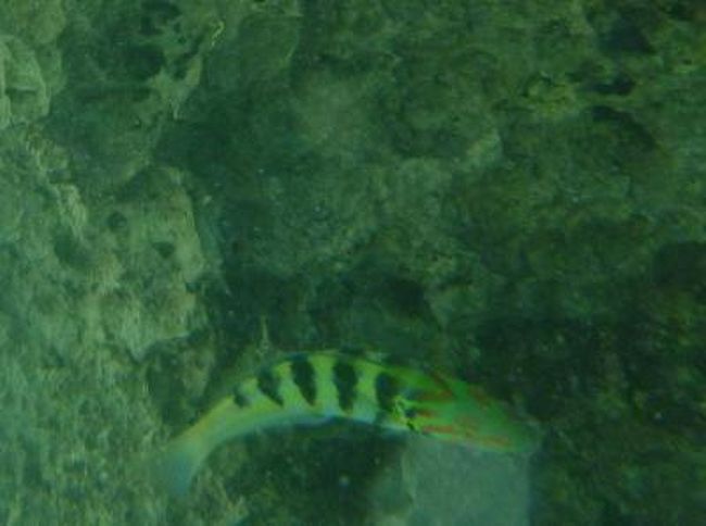 宮古島１９ ホテル ブリーズ ベイ マリーナ裏ビーチ 宮古島 沖縄県 の旅行記 ブログ By キヌちちさん フォートラベル