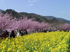 伊豆・河津・熱海の旅 ２００６年