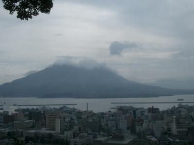 日本中どこにでもある城山。やっぱ、登って、市街を一望しなくっちゃ。