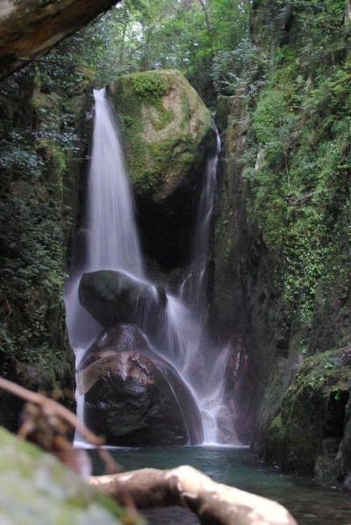 滝(那智の滝) 那智の滝｜スポット｜和歌山県公式観光サイト