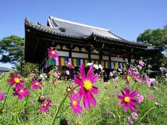 平城京の鬼門を守る！般若寺　～コスモス寺～