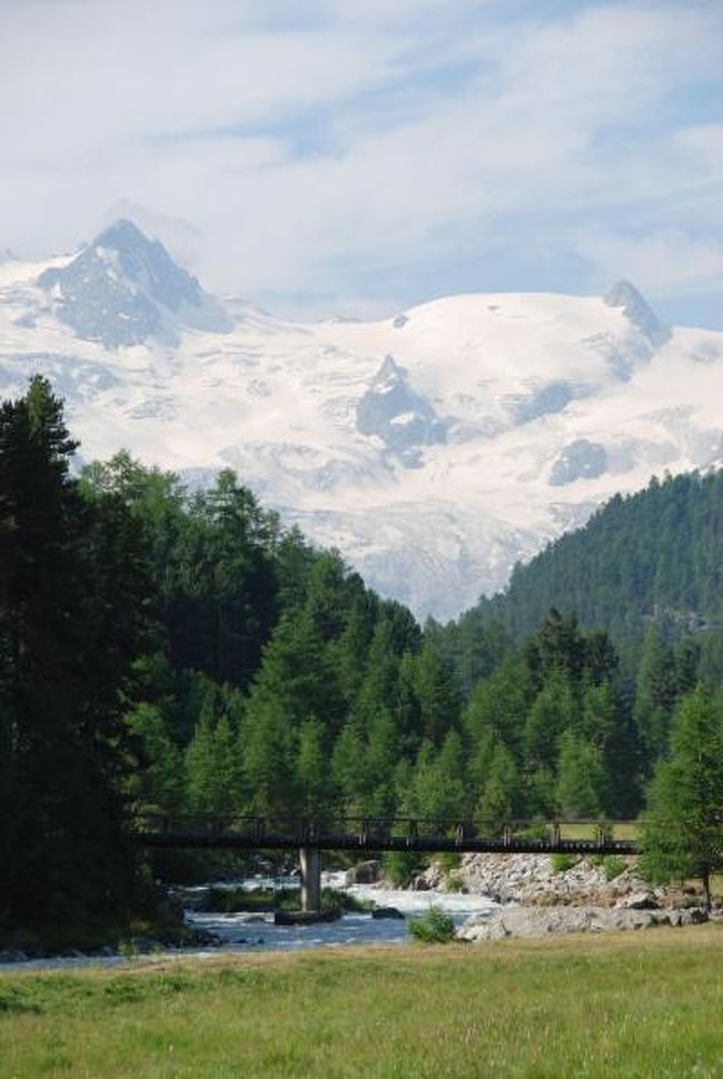 6日目。<br /><br />今日は、スイスからイタリアへの移動日。<br />スイス旅行は、いよいよ終盤です。<br /><br />早朝、モルテラッチ氷河を目指します。<br />途中の道路では、ピッツパリュのモルゲンロートが見えました。<br />モルテラッチ駅近辺にあるキャンプ場のあたりから、モルテラッチ氷河が見えます。<br />空は晴れていて、すっごくきれい。<br />カラマツの森から、涼しい空気を浴びて、すがすがしい朝を迎えることが出来ました。<br /><br />朝食後、ロゼック谷へ向かいました。<br />ロゼック谷は、両側をカラマツの森に囲まれて、正面に雄大なロゼック氷河が見えます。<br />自動車の乗り入れは禁止されていて、空気は新鮮。<br />ベルナーオーバーランドやツェルマットのような派手さはありませんが、<br />訪れた人を包み込んでくれるような、優しい感じの空間が広がっていました。<br /><br />今日は時間が限られているため、途中で引き返し、サンモリッツ湖へ向かいます。<br />途中、森の中を通過するときの上り坂はしんどかったですが、ところどころに点在する野原は、森のオアシスみたいな感じが漂っていました。<br /><br />森の峠を越えて、下り坂を進むと、シュッタツ湖がみえました。<br />その先にサンモリッツ湖があるのですが、シュッタツ湖の方が心に響きました。<br />小さな湖ですが、思わず立ち止まって、じっくりみたくなるような雰囲気が漂っているんです。<br /><br />さらに進んで、サンモリッツ湖に到着。<br />昨日とは、明らかに違う湖面の色。<br />水色に輝いています。<br />湖畔のサイクリングをして、ちょっと休憩。<br />サンモリッツ湖の湖畔では、多くの人が、ベンチや芝生に座っていますが、本当にいい感じ。<br /><br />その後、電車に乗って、ベルニナズオートまで行きました。<br />モルテラッチ氷河の見えるビューポイントを通って、ポントレジーナのホテルに戻りました。<br /><br /><br />＊表紙写真は、ロゼック谷にて。<br />　カラマツの森とロゼック氷河。<br /><br /><br />7/9（金）成田→（ミュンヘン）→ジュネーブ→キュウイー<br />7/10（土）キューイー→べンゲン<br />7/11（日）べンゲン<br />7/12（月）べンゲン→ルツェルン→ポントレジーナ<br />7/13（火）ポントレジーナ<br />7/14（水）ポントレジーナ→ティラノ→ミラノ<br />7/15（木）ミラノ→フィレンツェ<br />7/16（金）フィレンツェ→ベネチア<br />7/17（土）ベネチア<br />7/18（日）ベネチア→（ミュンヘン）→成田 <br />
