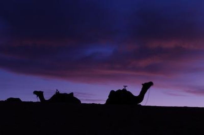 この旅のハイライトのひとつ、砂漠ツアー。<br />砂漠も初めてだが、サハラという本格砂漠にラクダで入って行くとは<br />どんなだろう。<br /><br />楽しみすぎる！