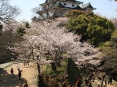 和歌山城　　かつては姫路城に次いで国宝に指定された程の名城！
