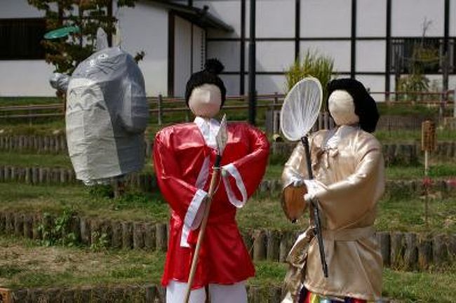 予報通りの天気になった。阿倍野橋を10時50分発の急行に上手く乗れた。飛鳥駅を降りたら快晴で暑いくらい。柿が手に入らないかもしれないので、駅前のあすか夢販売所でまず二袋入手。茄子も買った。柿は高めの値段、ナスは120円で安かった。時折吹く突風が、その後の天候急変を予測させた。<br /> 鬼の雪隠の見晴らし台で食事を済ませたが、驚くほどの風が時折生じた。山辺でおやつ稲荷を飛ばされて以来、食事時の風はトラウマになっている。今回はお茶がひっくり返った(^_^;)<br /> 聖徳小学校手前の柿畑も今年は不作。なんとなく淋しい。亀石手前を甘樫丘へ向かう。坂道が登りになるところで、空が広くなる景色があり見とれる。風が強い分、畝傍はもちろん二上・葛城・金剛が見渡せた。色合いは秋よりも夏に近い。展望台には風のせいか人が少なかった。急坂を下り飛鳥川沿いのいつもの道を歩こうかと思ったら、通行禁止の案内が!スズメバチの巣があり危険とのこと。初めて右岸沿いに石舞台を目指した。途中、畑のそばを通るものだから遠慮しいしい歩いたが、弥勒石や飛鳥京跡苑池の案内立札もありコースになっていた。バス通りの商店街を抜け、犬養万葉記念館に初めて入った。値段は300円と安いが展示も、地味で犬養先生の生前の万葉を説明するあの生き生きした楽しさは味わえなかった。展示方法に肉声をずっと流すなどの工夫があれば良いのにと思った。<br /> 石舞台には3時前に到着。食べ終わって少し休憩していたが、曇が急に空を覆い尽くし雨が近いのを悟り早めに帰りかけた。石舞台から祝戸へ架かる橋付近で、花や柿の枝(実付き)を盗んだと思われる3人組を追い越した。雨はまだ小降りだが、だんだん強くなり鬼の雪隠ではかなり強く降った。4時15分頃にゆめ販売所に着いて、柿と小芋の追加購入をして25分発の急行で帰阪した。ゆめ販売所で3人組と再遭遇!黒いごみ袋の中身は花や柿の枝。<br />