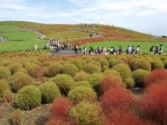 国営ひたち海浜公園