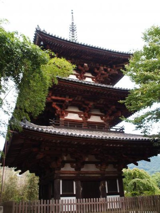 奈良県葛城市にある当麻寺は高野山真言宗と浄土宗の二宗に兼属するお寺で二上山禅林寺という。創建は推古天皇20年(612年)、開基は麻呂古王(聖徳太子の異母弟)と伝えられる。本尊は当麻曼荼羅である。「当麻曼荼羅」の信仰と、曼荼羅にまつわる中将姫伝説で知られる古寺である。 金堂(重文)、講堂(重文)、本堂(曼荼羅堂)(国宝)、東塔・西塔(国宝)などの伽藍が建っている。日本最古級と推定される梵鐘(国宝)を吊るしている鐘楼もある。 特に、奈良時代・平安時代初期に建立された2基の三重塔(東塔・西塔)(国宝)が現存するのは、近世以前の寺では日本唯一の例である。また、當麻寺自体の本坊はなく、中心伽藍は浄土宗と高野山真言宗に属する子院によって管理されている。 東塔・西塔はいずれも三重塔である。東塔は初重が通常どおり3間であるのに対し、二重・三重は2間とする特異な塔である。日本の社寺建築では、柱間を偶数として、中央に柱が来るのは異例とされているが、法隆寺中門などがある。これに対し、西塔は初重、二重、三重とも柱間を3間とする。また、屋根上の水煙(すいえん)は、西塔には一般的なものが上がっているが、東塔には魚の骨のような形をした、少し変わったデザインのものである。ただし、これは後世のものらしい。建立時期としては、東塔は奈良時代末期、西塔はやや遅れて奈良時代最末期から平安時代初頭の建築と推定される。(表紙写真は当麻寺東塔)