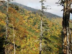 紅葉の会津駒ケ岳・中門岳に登る・・・②下り編