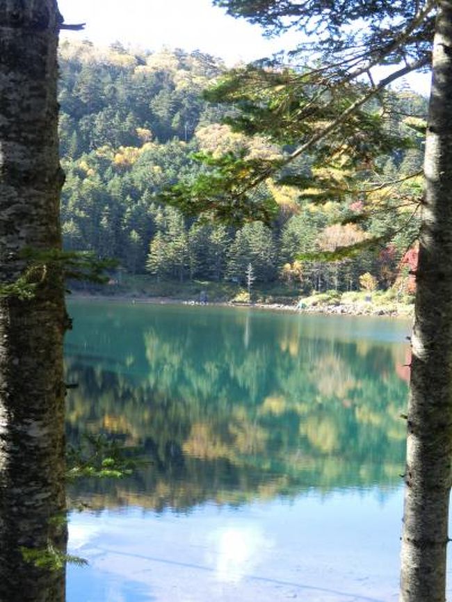 北八ヶ岳の縞枯山、北横岳、蓼科山などに登ってきました！<br /><br />麦草峠?大石峠?中小場?茶臼山?縞枯山?八丁平?縞枯山荘?ピラタス蓼科ロープウェイ山頂駅?坪庭?北横岳ヒュッテ?北横岳?亀甲池?天祥寺原?蓼科山荘?蓼科山?蓼科山荘?赤谷の分岐?大河原峠?双子山?双子池?大石川林道?麦草峠?湯川温泉・河童の湯