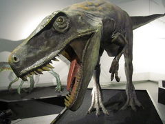 甥っ子姪っ子と大阪観光（2）ATCミュージーアムの「地球最古の恐竜展」