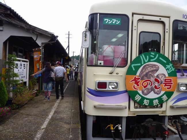 楽しい乗り物シリーズ、<br /><br />今回は、明知鉄道「きのこ列車」をご紹介します。<br /><br /><br />★楽しい乗り物シリーズ<br /><br />ＳＬニセコ号＆美深トロッコ(北海道)<br />http://4travel.jp/travelogue/10588129<br />富士登山電車(山梨)<br />http://4travel.jp/travelogue/10418489<br />旭山動物園号（北海道）<br />http://4travel.jp/travelogue/10431501<br />カシオペア(北海道)<br />http://4travel.jp/travelogue/10578381<br />おおぼけトロッコ号(徳島)<br />http://4travel.jp/travelogue/10590175<br />ＳＬ会津只見号（福島）<br />http://4travel.jp/travelogue/10561966<br />トロッコ列車「シェルパ君」（群馬）<br />http://4travel.jp/travelogue/10521246　　<br />つばめ＆はやとの風＆しんぺい（鹿児島＆熊本）<br />http://4travel.jp/travelogue/10577148<br />牛川の渡し（愛知）<br />http://4travel.jp/travelogue/10519148<br />ＤＭＶ（デュアル・モード・ビークル）（北海道）<br />http://4travel.jp/travelogue/10462428<br />ツインライナー＆浦賀渡し船（神奈川）<br />http://4travel.jp/travelogue/10514989<br />リンガーベル＆我入道の渡し（静岡）<br />http://4travel.jp/travelogue/10519012<br />ＪＲ西日本「鬼太郎列車」（鳥取）<br />http://4travel.jp/travelogue/10439595<br />奥出雲おろち号(島根)<br />http://4travel.jp/travelogue/10595300<br />富良野・美瑛ノロッコ号(北海道)<br />http://4travel.jp/travelogue/10613668<br />岡山電気軌道「たま電車」（岡山）　<br />http://4travel.jp/travelogue/10416889<br />小田急ロマンスカー「サルーン席」（神奈川）<br />http://4travel.jp/traveler/satorumo/album/10448952/<br />お座敷列車「桃源郷パノラマ」号（山梨）<br />http://4travel.jp/traveler/satorumo/album/10447711/<br />「お座敷うつくしま浜街道」号（茨城）<br />http://4travel.jp/traveler/satorumo/album/10435948/<br />小堀の渡し（茨城）<br />http://4travel.jp/traveler/satorumo/album/10425647/<br />こうや花鉄道「天空」（和歌山）<br />http://4travel.jp/traveler/satorumo/album/10427331/<br />たま電車＆おもちゃ電車＆いちご電車（和歌山）<br />http://4travel.jp/traveler/satorumo/album/10428754/<br />「世界一長い」モノレール（徳島）<br />http://4travel.jp/traveler/satorumo/album/10450801/<br />そよ風トレイン117（愛知・静岡）<br />http://4travel.jp/traveler/satorumo/album/10492138/<br />リゾートビューふるさと（長野）<br />http://4travel.jp/traveler/satorumo/album/10515819/<br />ＳＬひとよし＆ＫＵＭＡ＆いさぶろう（熊本）<br />http://4travel.jp/traveler/satorumo/album/10421906/<br />みすゞ潮彩号（山口）<br />http://4travel.jp/traveler/satorumo/album/10450814/<br />ボンネットバスで行く小樽歴史浪漫（北海道）<br />http://4travel.jp/traveler/satorumo/album/10432575/<br />いわて・平泉文化遺産号（岩手）<br />http://4travel.jp/traveler/satorumo/album/10590418/<br />お座敷列車・平泉文化遺産号（宮城）<br />http://4travel.jp/traveler/satorumo/album/10594639/<br />京とれいん（京都）<br />http://4travel.jp/traveler/satorumo/album/10604151/<br />かしてつバス（茨城）<br />http://4travel.jp/traveler/satorumo/album/10607951/<br />コスモス祭りに走る“松山人車軌道”(宮城)<br />http://4travel.jp/traveler/satorumo/album/10619155/<br />ＪＲ石巻線＆仙石線（宮城）<br />http://4travel.jp/traveler/satorumo/album/10610832/<br />リゾートやまどり(群馬)<br />http://4travel.jp/traveler/satorumo/album/10624619/ <br />海幸山幸（宮崎）<br />http://4travel.jp/traveler/satorumo/album/10626438/<br />指宿のたまて箱（鹿児島）<br />http://4travel.jp/traveler/satorumo/album/10628464/<br />Ａ列車で行こう（熊本）<br />http://4travel.jp/traveler/satorumo/album/10631554/<br />あそぼーい!（熊本)<br />http://4travel.jp/traveler/satorumo/album/10634616/<br />さくらんぼ風っこ(山形)<br />http://4travel.jp/traveler/satorumo/album/10692556/<br />尾瀬夜行23:55（福島)<br />http://4travel.jp/traveler/satorumo/album/10702090/<br />ジパング平泉(岩手)<br />http://4travel.jp/traveler/satorumo/album/10710506<br />かき鍋クルーズ(宮城)<br />http://4travel.jp/traveler/satorumo/album/10752892/<br />JR気仙沼線　“BRT”(宮城)<br />http://4travel.jp/traveler/satorumo/album/10760789/<br />ポケモントレイン気仙沼(岩手＆宮城)<br />http://4travel.jp/traveler/satorumo/album/10763358/<br />南海電鉄「ラピート」（大阪）<br />http://4travel.jp/traveler/satorumo/album/10800370 <br />京阪電鉄「京阪特急」（京都）<br />http://4travel.jp/traveler/satorumo/album/10800884/<br />近畿日本鉄道「ビスタカー」（京都＆奈良）<br />http://4travel.jp/traveler/satorumo/album/10802318<br />近畿日本鉄道「しまかぜ」（大阪＆奈良）<br />http://4travel.jp/travelogue/10803761<br />近畿日本鉄道「伊勢志摩ライナー」（奈良＆京都） <br />http://4travel.jp/traveler/satorumo/album/10806901/<br />土佐くろしお鉄道「ごめん・なはり線 展望デッキ車両」（高知）<br />http://4travel.jp/traveler/satorumo/album/10813201<br />ＪＲ四国　「海洋堂ホビートレイン」（高知）<br />http://4travel.jp/traveler/satorumo/album/10814054/<br />湯西川ダックツアー（栃木）<br />http://4travel.jp/traveler/satorumo/album/10816706/<br />東武鉄道「スカイツリートレイン南会津号」（栃木＆埼玉＆東京）<br />http://4travel.jp/traveler/satorumo/album/10819869/<br />東武鉄道「スペーシア」（東京＆栃木）<br />http://4travel.jp/traveler/satorumo/album/10820730/ <br />肥薩おれんじ鉄道　「おれんじ食堂」（熊本＆鹿児島）<br />http://4travel.jp/traveler/satorumo/album/10827593<br />ＪＲ東日本「ＳＬ銀河」（岩手）<br />http://4travel.jp/travelogue/10893431<br />三陸鉄道「南リアス線」（岩手）<br />http://4travel.jp/travelogue/10895080<br />ＪＲ東日本「NO.DO.KA」(新潟)<br />http://4travel.jp/travelogue/10904325<br />ＪＲ東日本「越乃Shu*Kura」（新潟）<br />http://4travel.jp/travelogue/10906874<br />ＪＲ東日本「ＳＬばんえつ物語」(新潟＆福島)<br />http://4travel.jp/travelogue/10909105<br />わたらせ渓谷鐵道「トロッコわたらせ渓谷号」（群馬）<br />http://4travel.jp/travelogue/10653503<br />ＪＲ北海道「流氷ノロッコ号＆ＳＬ冬の湿原号」（北海道）<br />http://4travel.jp/travelogue/10636606<br />ボンネットバス「函館浪漫号」 (北海道)<br />http://4travel.jp/travelogue/10439020<br />ＳＬ函館大沼号＆定期観光バス「ハイカラ號」(北海道)<br />http://4travel.jp/travelogue/10461438<br />ＪＲ大船渡線　“BRT”(岩手＆宮城)　　　　<br />http://4travel.jp/travelogue/10896079<br />ＪＲ東日本「きらきらうえつ」（山形＆秋田）<br />http://4travel.jp/travelogue/10939550<br />伊豆急行「リゾート２１」（静岡）<br />http://4travel.jp/travelogue/10946692<br />ＪＲ東日本「リゾートみのり」(宮城＆山形)<br />http://4travel.jp/travelogue/10973345<br />ＪＲ東日本「とれいゆつばさ」(山形)<br />http://4travel.jp/travelogue/10977124<br />富士急行「フジサン特急」(山梨)<br />http://4travel.jp/travelogue/10979453<br />ＪＲ西日本「トワイライトエクスプレス」(北海道＆新潟)<br />http://4travel.jp/travelogue/10982824<br />富山地方鉄道「レトロ電車」(富山)<br />http://4travel.jp/travelogue/10983819<br />しなの鉄道「ろくもん」（長野）<br />http://4travel.jp/travelogue/10991507<br />北近畿タンゴ鉄道(京都丹後鉄道)「丹後あかまつ号」（京都＆兵庫）<br />http://4travel.jp/travelogue/10997325<br />富山地方鉄道「アルプスエキスプレス」(富山）<br />http://4travel.jp/travelogue/10999061<br />近畿日本鉄道「つどい」(三重)<br />http://4travel.jp/travelogue/11001558<br />大井川鐵道「南アルプスあぷとライン＆ＳＬかわね路号」(静岡)<br />http://4travel.jp/travelogue/11019512<br />ひたちＢＲＴ(茨城)<br />http://4travel.jp/travelogue/11025954<br />八幡平ボンネットバス（岩手）<br />http://4travel.jp/travelogue/11039600<br />ＪＲ四国「伊予灘ものがたり」（愛媛）<br />http://4travel.jp/travelogue/11041778<br />ＪＲ四国「鉄道ホビートレイン」（愛媛＆高知）<br />http://4travel.jp/travelogue/11043511　　<br />高千穂あまてらす鉄道(宮崎)<br />http://4travel.jp/travelogue/11049626<br />くま川鉄道「田園シンフォニー」(熊本)<br />http://4travel.jp/travelogue/11052103<br />西日本鉄道「旅人」(福岡)<br />http://4travel.jp/travelogue/11053772<br />JR北海道＆東日本「夜行急行列車はまなす」(北海道)<br />http://4travel.jp/travelogue/11073488<br />JR東日本「おいこっと」（長野)<br />http://4travel.jp/travelogue/11076547<br />のと鉄道　「のと里山里海号」（石川)<br />http://4travel.jp/travelogue/11100480<br />JR西日本　「花嫁のれん」(石川)<br />http://4travel.jp/travelogue/11100917<br />JR西日本　「ベル・モンターニュ・エ・メール(べるもんた)」(富山)<br />http://4travel.jp/travelogue/11102039<br />えちぜん鉄道　「きょうりゅう電車」(福井）<br />http://4travel.jp/travelogue/11103005<br />鹿児島県十島村　「フェリーとしま」(鹿児島)<br />http://4travel.jp/travelogue/11106970<br />津軽鉄道　「ストーブ列車」(青森)<br />http://4travel.jp/travelogue/11122704<br />ＪＲ西日本「サンライズ出雲」(岡山＆鳥取)<br />http://4travel.jp/travelogue/11123534<br />鹿児島市交通局「観光レトロ電車“かごでん”」（鹿児島）<br />http://4travel.jp/travelogue/11130204<br />小湊鉄道「里山トロッコ」（千葉）<br />http://4travel.jp/travelogue/11141517<br />南海電鉄「めでたいでんしゃ＆サザン」　（和歌山)<br />http://4travel.jp/travelogue/11155813<br />富士急行「富士山ビュー特急」(山梨)<br />http://4travel.jp/travelogue/11160680<br />JR東日本「現美新幹線」　(新潟)<br />http://4travel.jp/travelogue/11160683<br />JR東日本「フルーティアふくしま」(福島)<br />http://4travel.jp/travelogue/11160686<br />JR東日本「伊豆クレイル」(神奈川)<br />http://4travel.jp/travelogue/11167399<br />JR西日本「La Malle de Bois（ラ・マル・ド・ボァ）」 （岡山）<br />http://4travel.jp/travelogue/11167407<br />JR東日本「リゾートしらかみ“2代目ブナ編成”」(青森)<br />http://4travel.jp/travelogue/11202958<br />近畿日本鉄道「青の交響曲(シンフォニー）」(奈良＆大阪)<br />http://4travel.jp/travelogue/11217768<br />明知鉄道「じねんじょ列車」（岐阜）<br />http://4travel.jp/travelogue/11233948<br />明知鉄道「寒天列車」（岐阜）<br />http://4travel.jp/travelogue/10495412<br />明知鉄道「きのこ列車」（岐阜）<br />http://4travel.jp/travelogue/10510003<br /><br /><br />