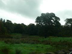 ヨーロッパ　ビールの旅　成田→ロンドン　湖水地方編２