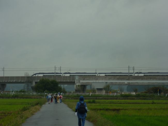 秋風そよぐ印旛の里山とスカイアクセス沿線の小さな旅<br /><br /><br />2010.10.9　雨天決行<br /><br />そうなのです、朝から雨でした、でも多くの方が参加してました。<br />健康のため約13Km歩きます。