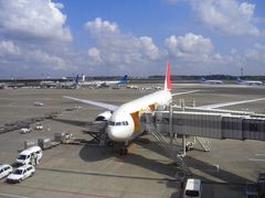 Flight Travel JAL719 Tokyo/NRT-Singapore　B777-200　亜細亜逃避行 Transit Stay