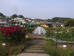 あまりにも華やかなダリアの花　町田ダリア園