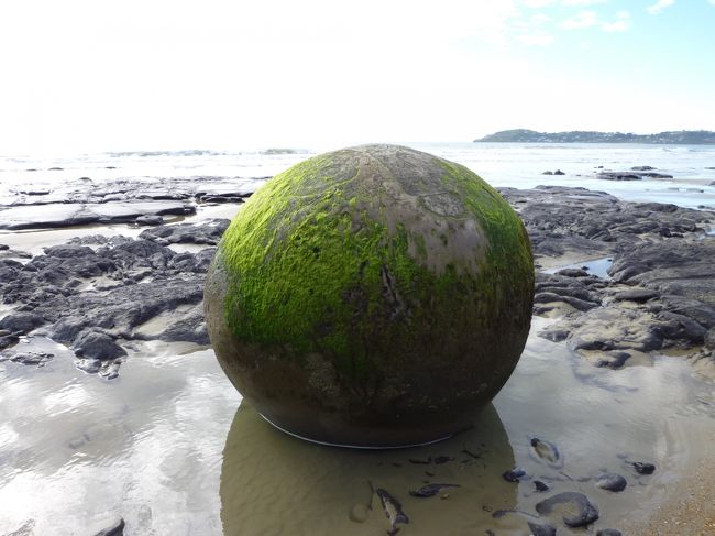 ダニーデンの近くの海岸に丸い奇石が並ぶ所が在った。<br />どうしてこういう状態になったのか？