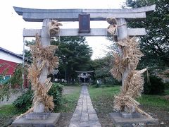 「わらの大蛇」祭り