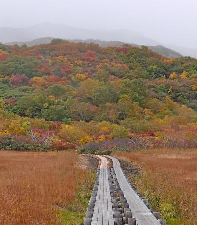 2010.10由利本荘・矢島・鳥海山旅行3-祓川，竜ヶ原湿原の紅葉はきれいだった！