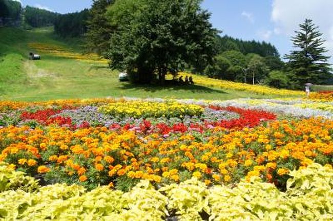 ヘブンスそのはらの花畑 伊那 長野県 の旅行記 ブログ By Sallyさん フォートラベル ヘブンスそのはらの花畑 伊那 長野県 の旅行記 ブログ By Sallyさん フォートラベル
