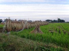 秋彩の里を早朝ウォーキング